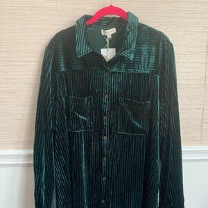 NWT Curvy Stripe Textured Velvet Button-down Shirt/ HUNTER GREEN